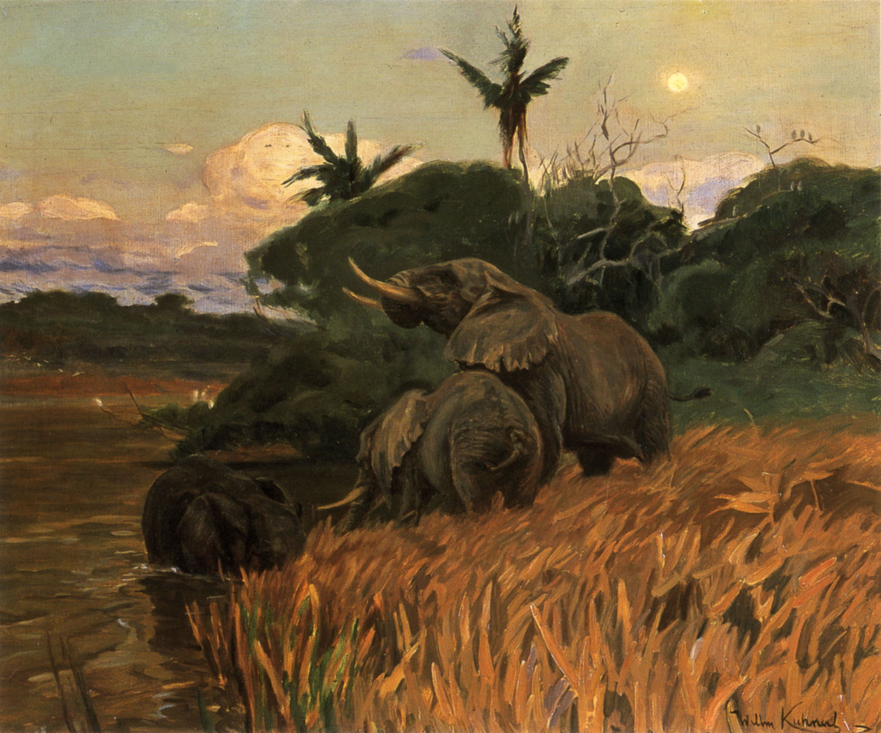 A Herd of Elephants by Moonlight by Wilhelm Kuhnert