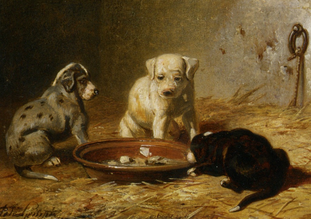 A New Experience by Bernard Te Gempt