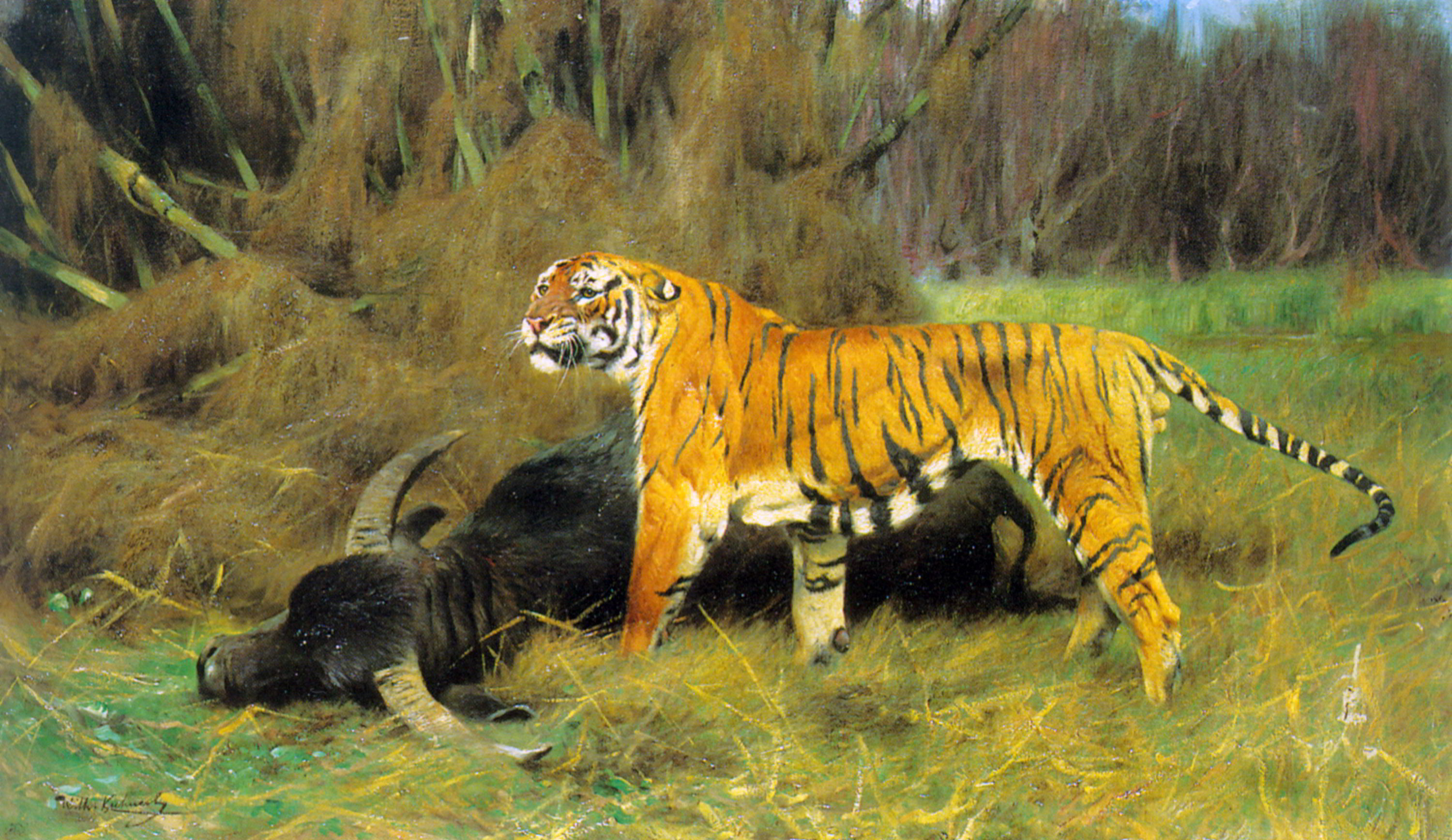 A Tiger with its Prey by Wilhelm Kuhnert