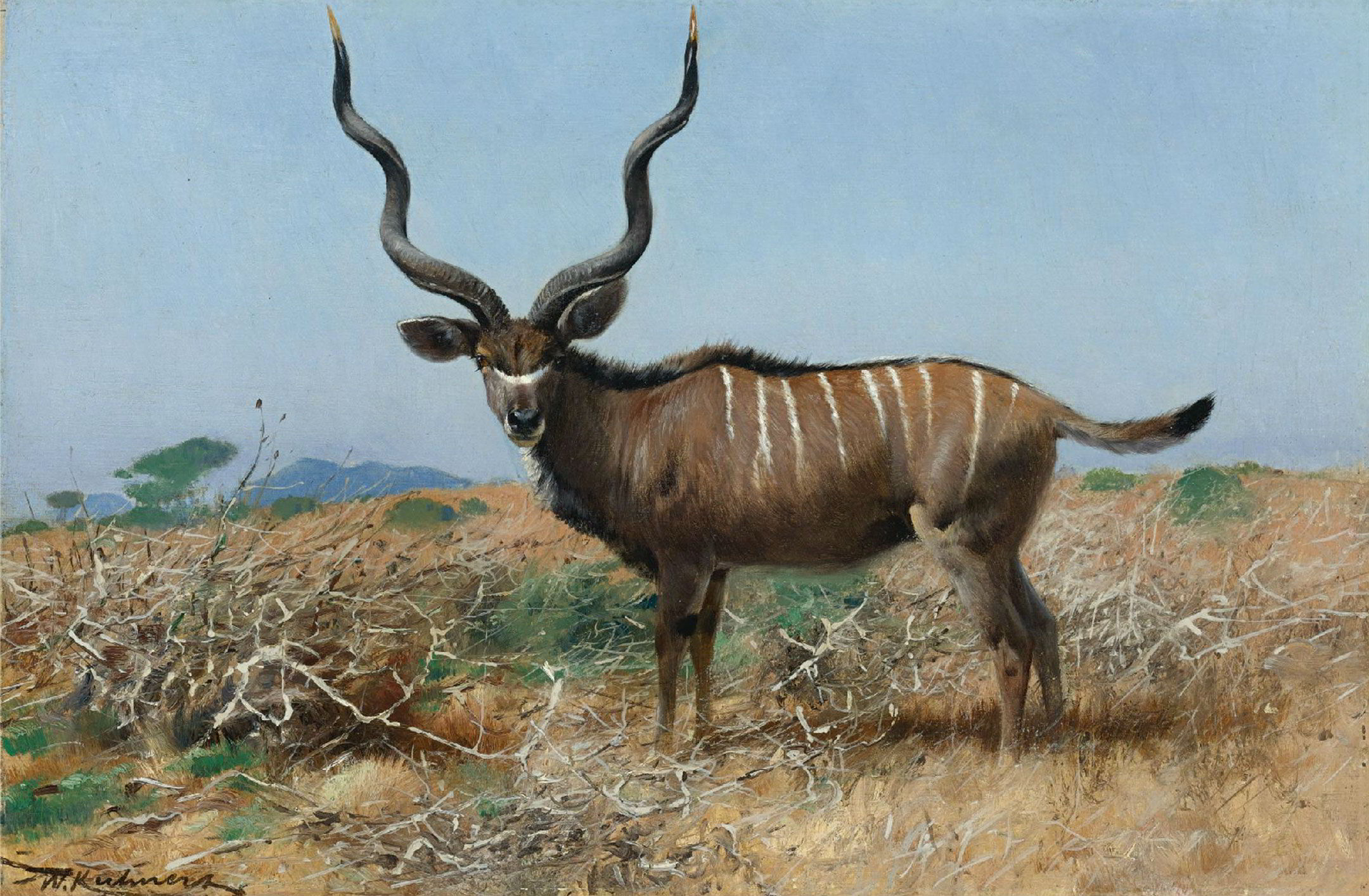 Antelope by Wilhelm Kuhnert