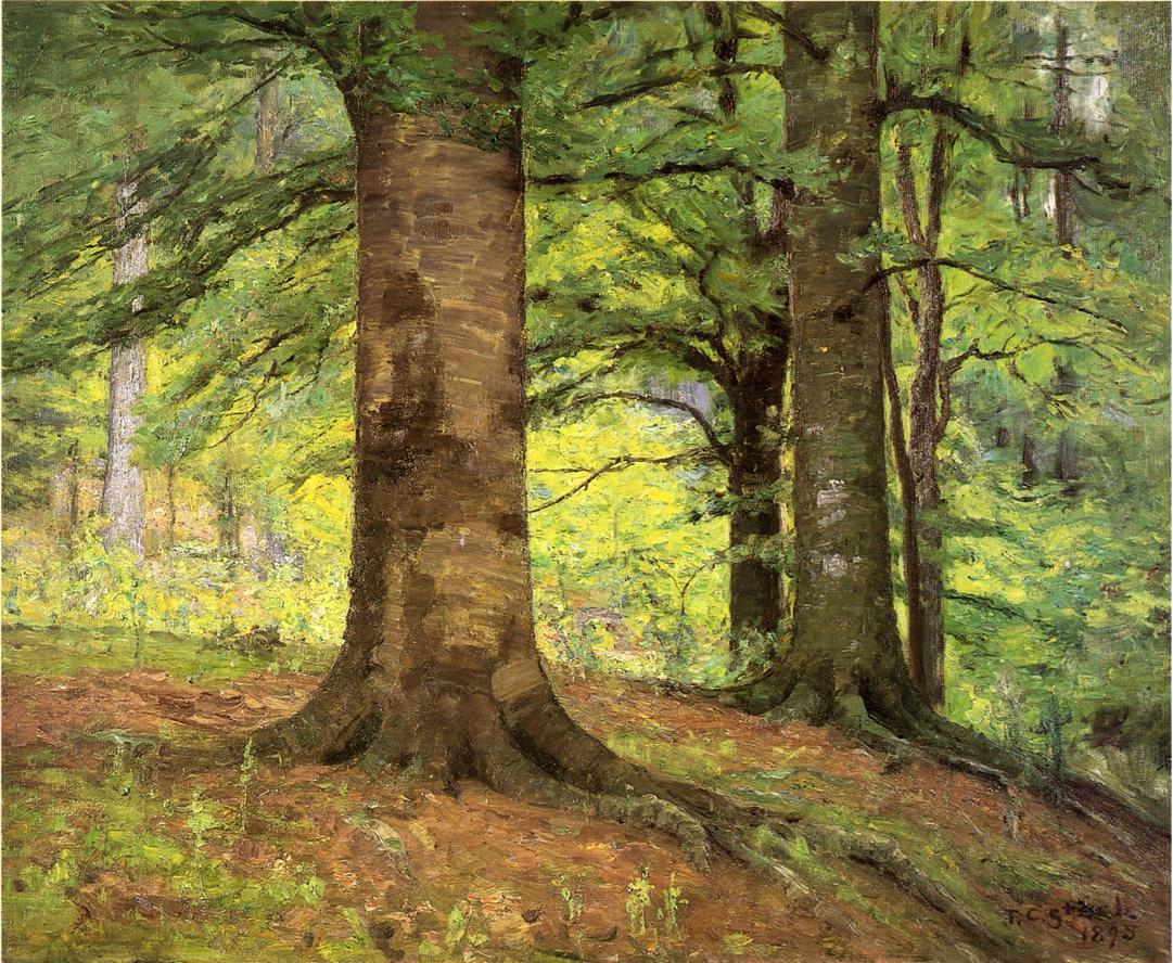Beech Trees by Theodore Clement Steele-American Painting