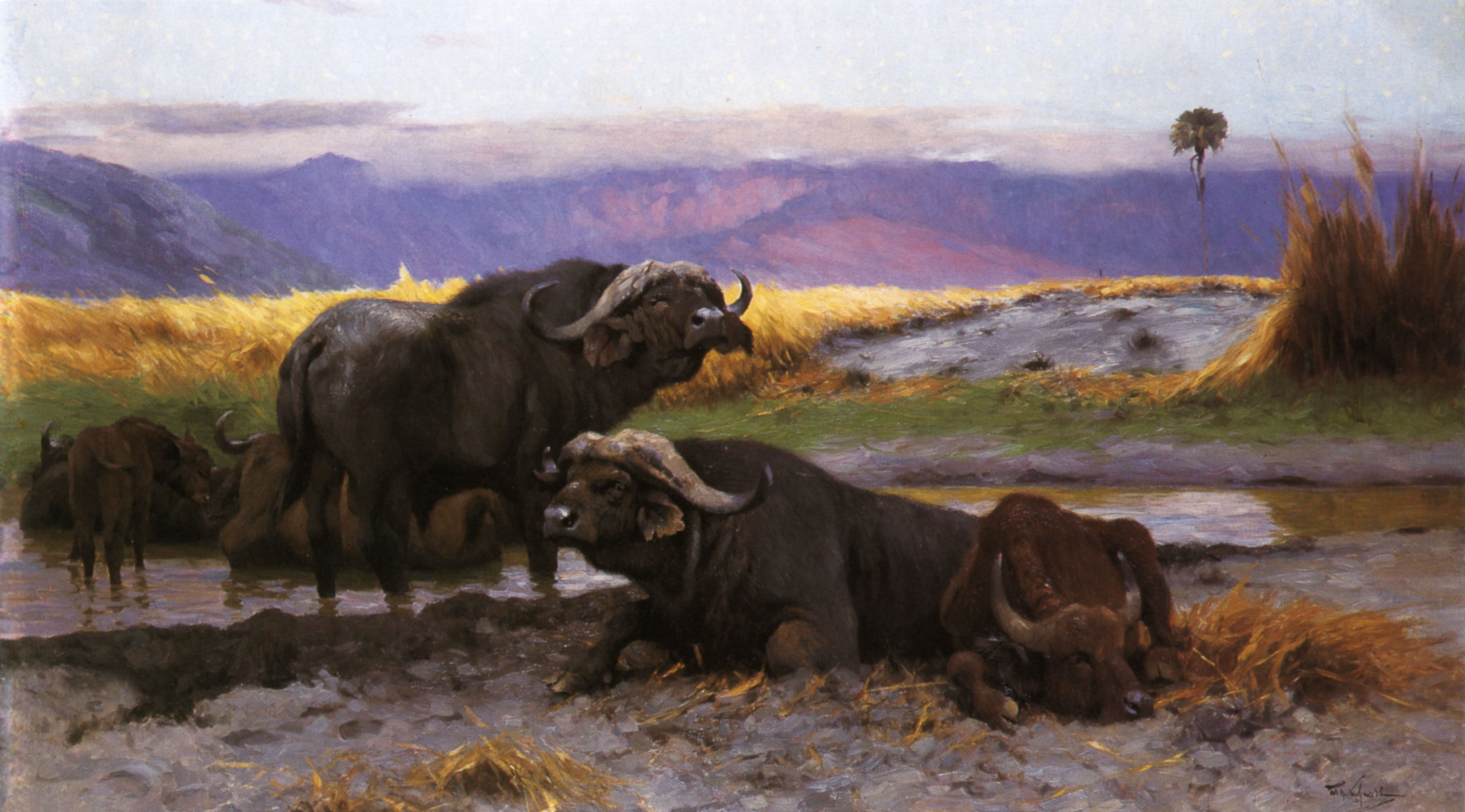 Buffalo Along the Riverbank by Wilhelm Kuhnert