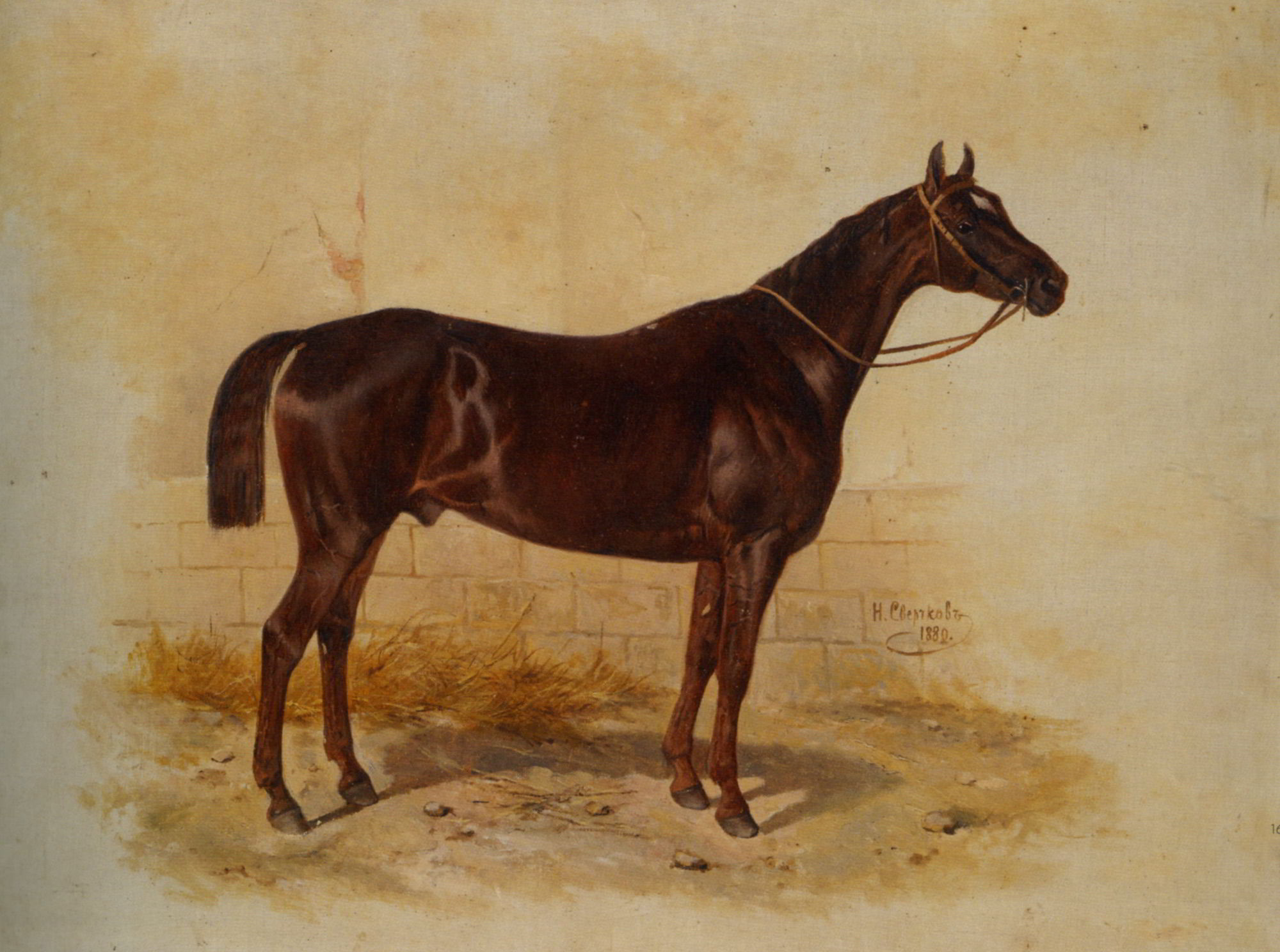 Champion by Nikolai Egorovich Sverchkov-Horse Painting