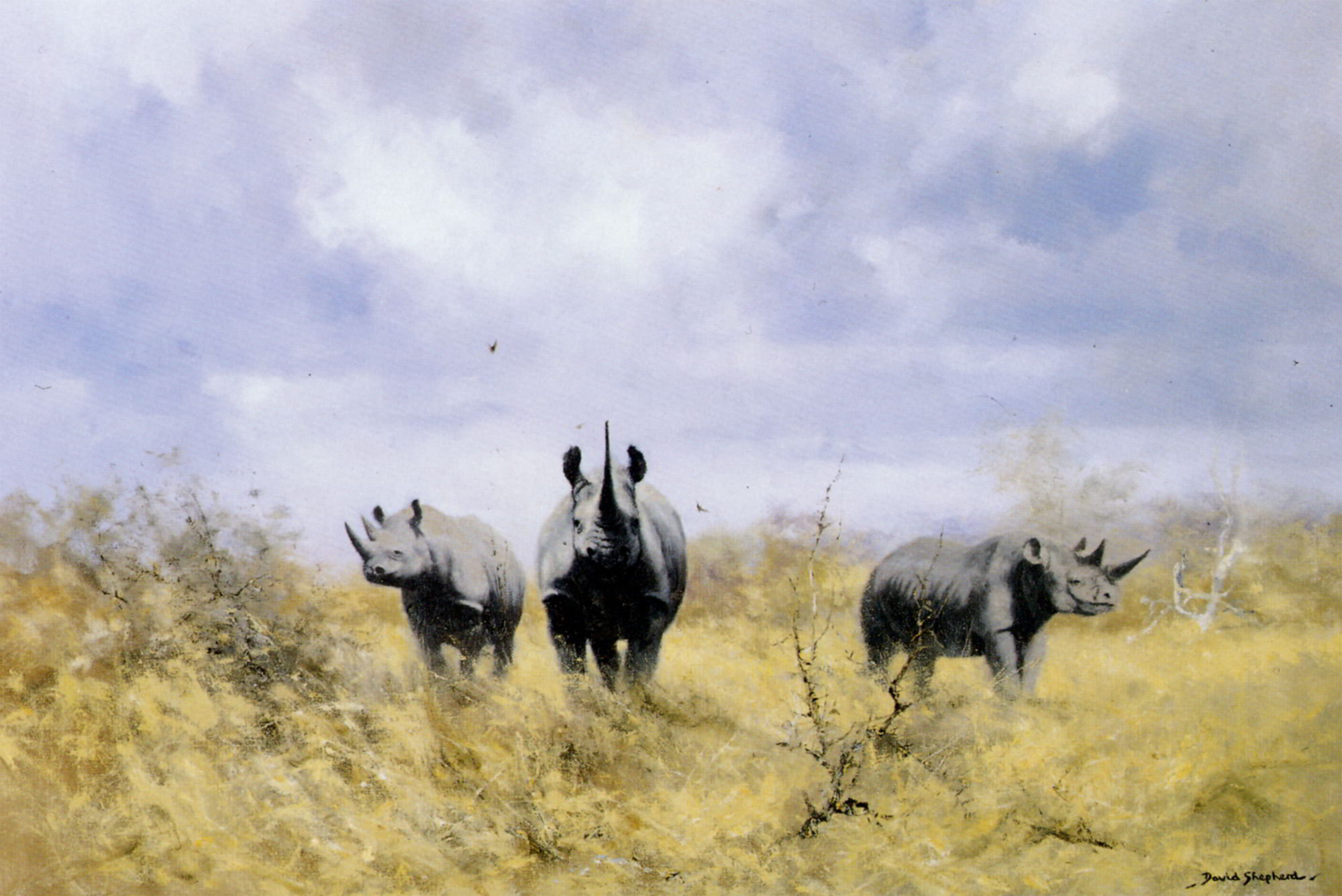Charging Rhinos by David Shepherd-Animal Painting