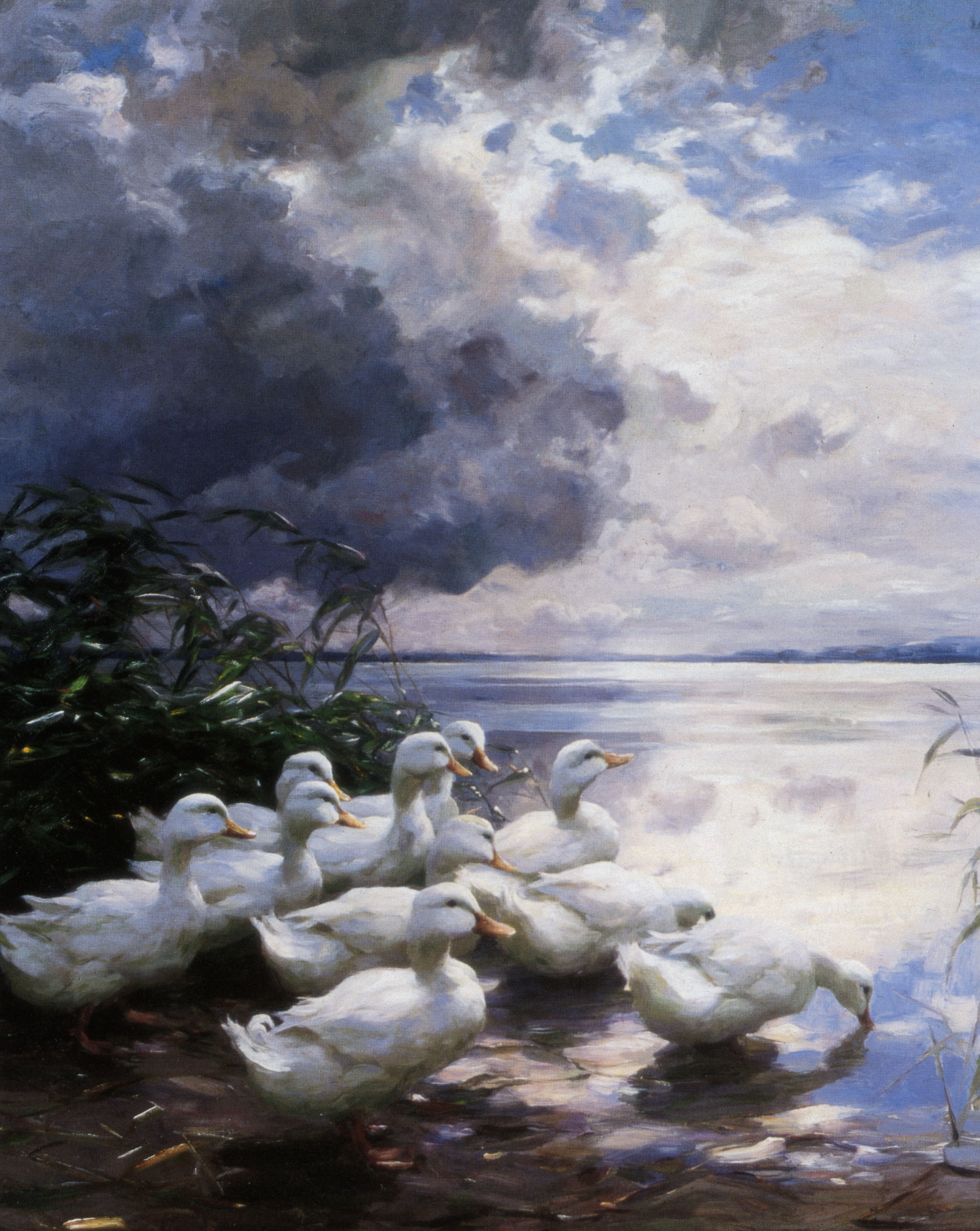 Ducks at the Lakes Edge by Alexander Koester