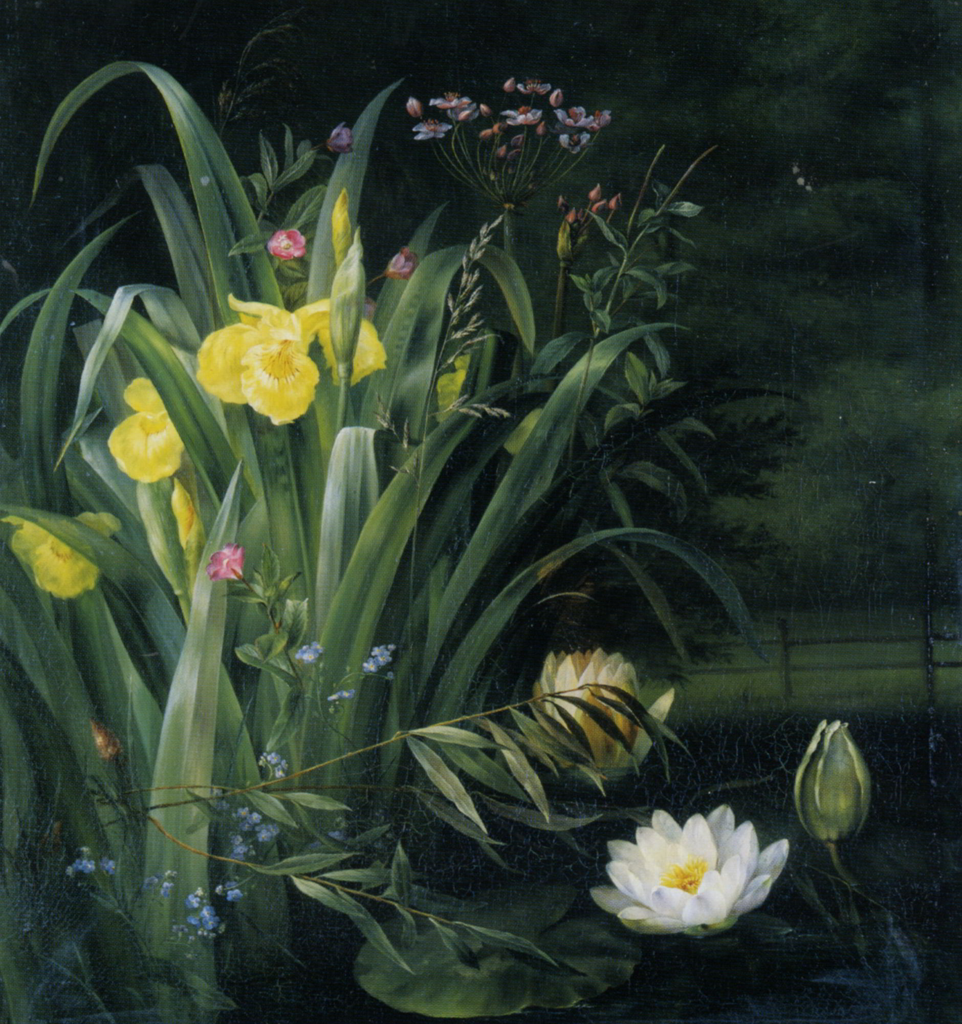 Lily Pond by Hermania Sigvardine Neergaard