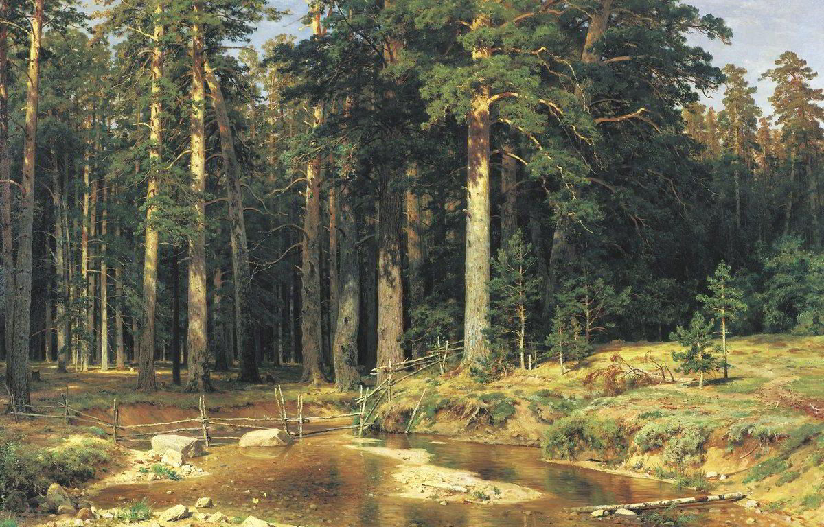 Mast Tree Grove by Ivan Shishkin-Russian Painting