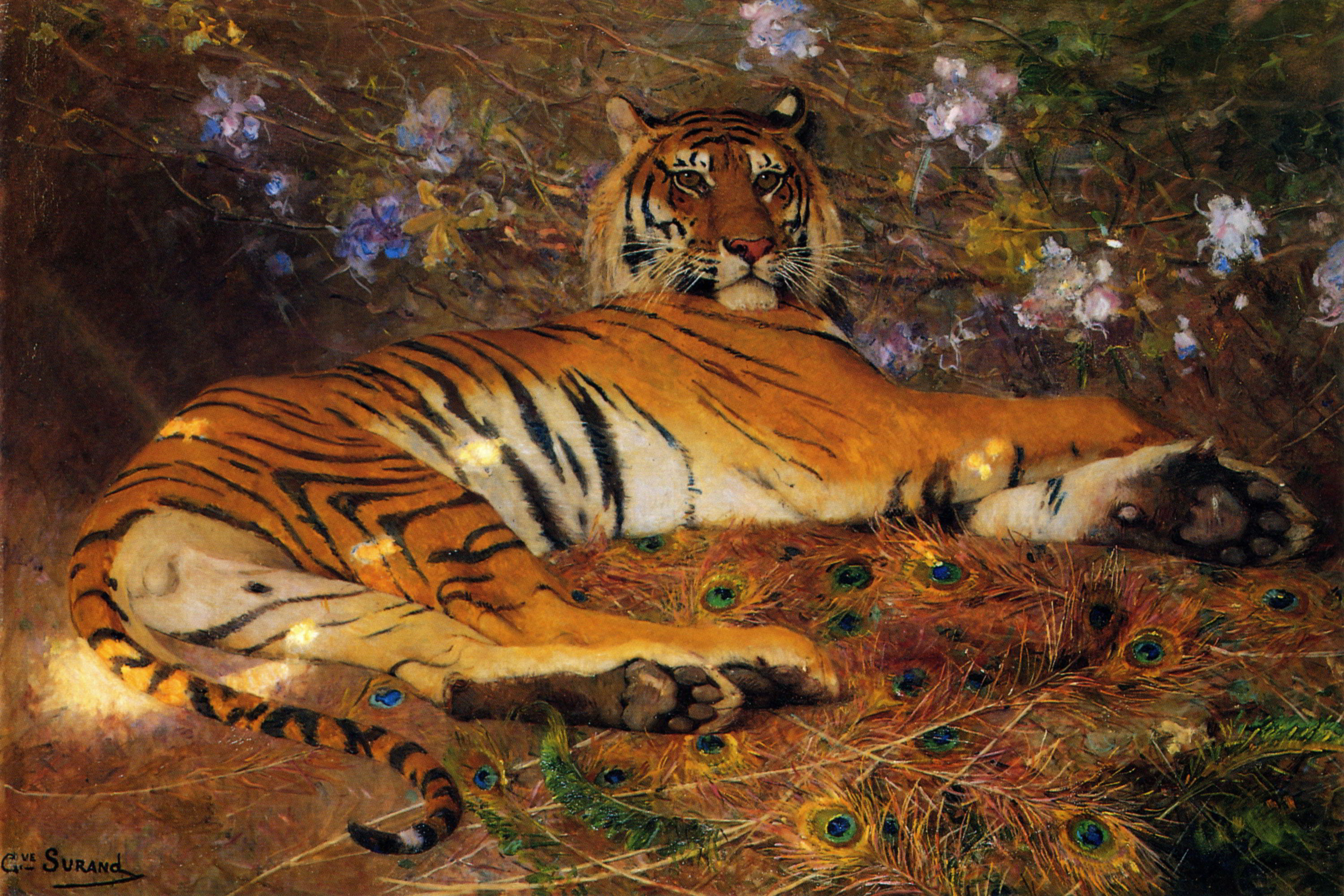 Resting Tiger by Gustave Surand-Animal Painting