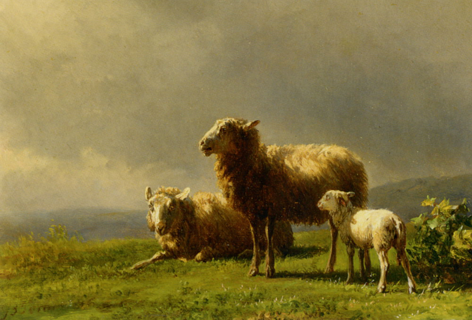 Sheep in a Meadow by Jan Bedijs Tom-Animal Painting