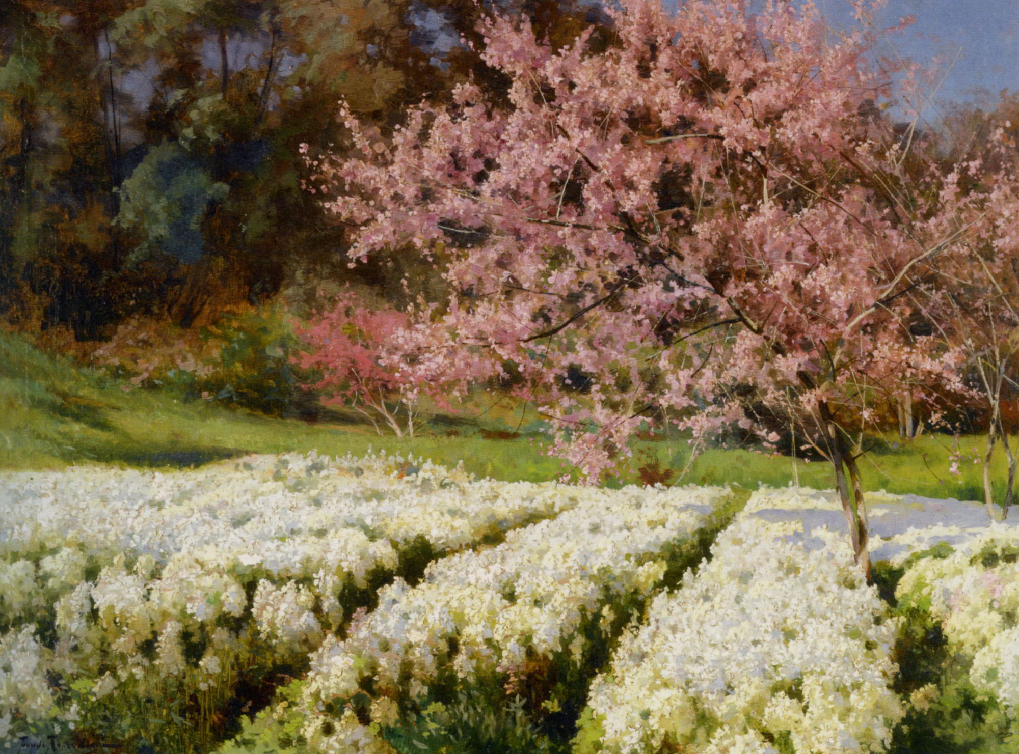 Spring Blossom by Iosif Evstafevich Krachkovsky