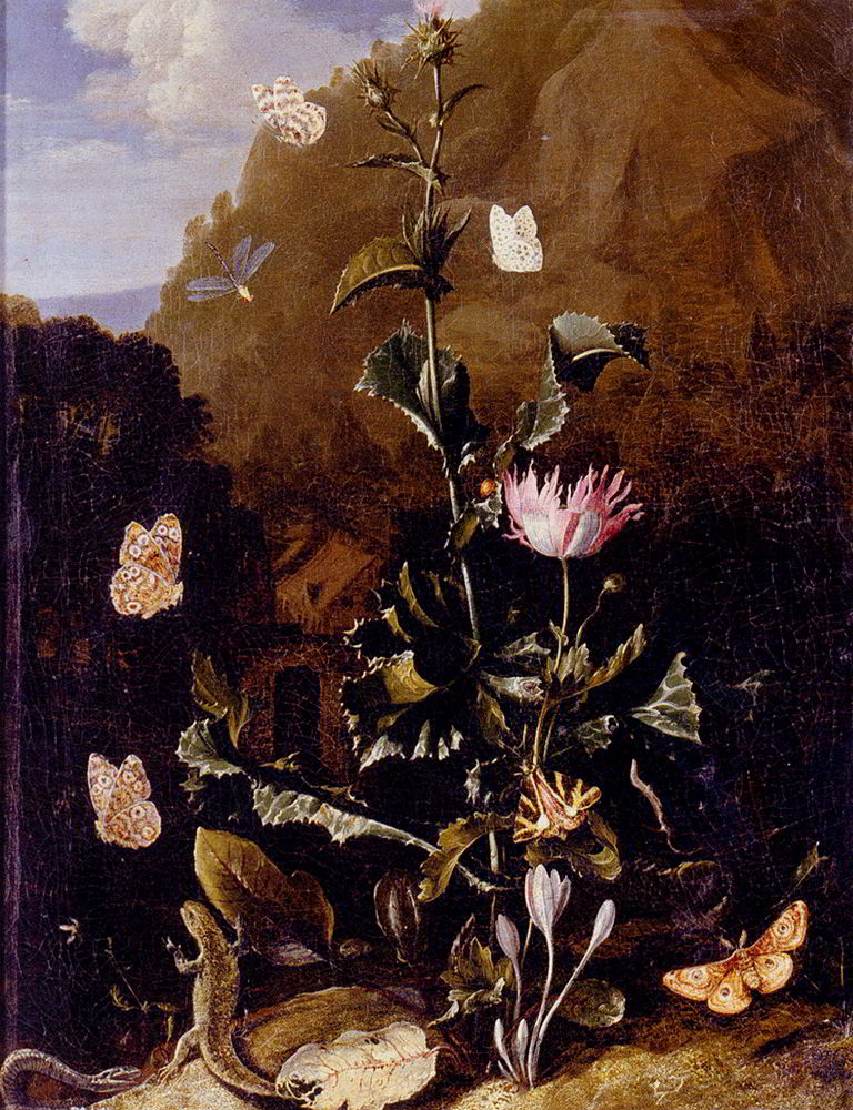 Still Life Of A Thistle And Other Flowers Surrounded By Moths, A Dragonfly, A Lizard, And A Snake, In A Landscape by Otto Marseus Van Schrieck-Oil Painting