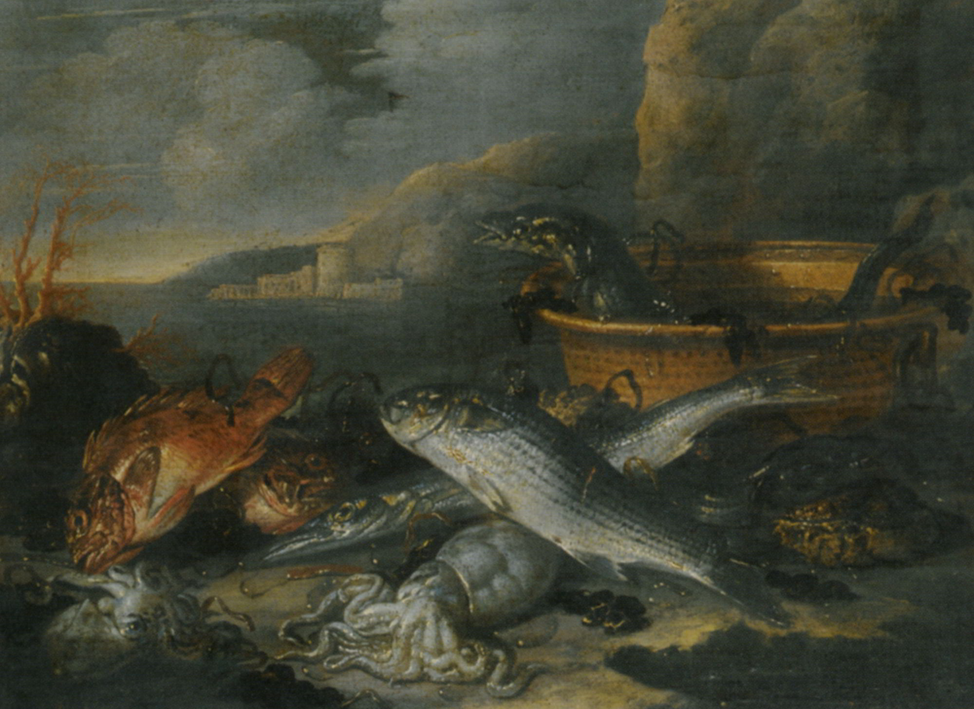 Still Life with an Assortment of Fish and Squid on a Beach by Nicola Maria Recco