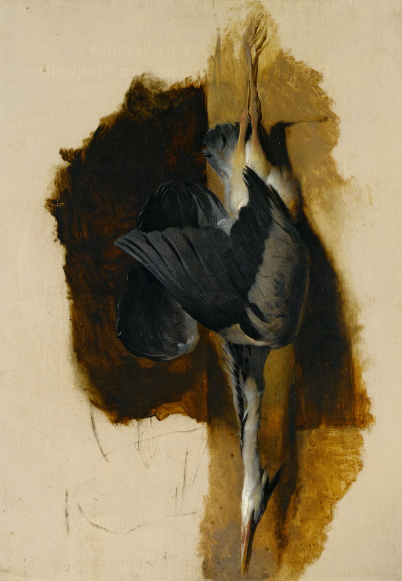 Study of a Dead Heron by Sir Edwin Henry Landseer