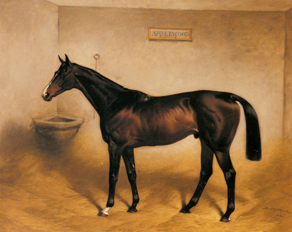 The Racehorse Abbeywood In A Stable by Basil Nightingale