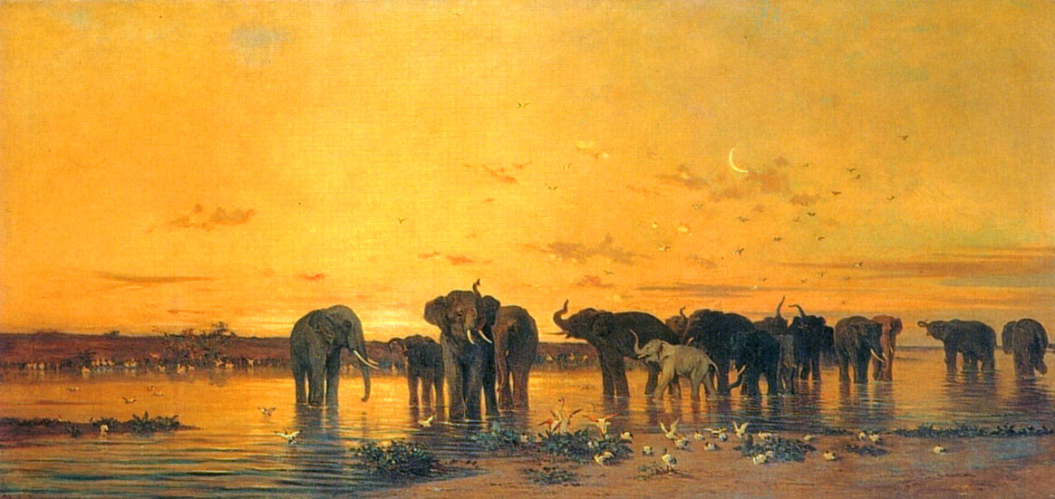 African Elephants by Charles de Tournemine