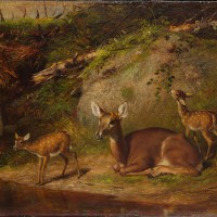 Doe and Two Fawns by Arthur Fitzwilliam Tait