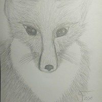 Fox by Carrie Canup