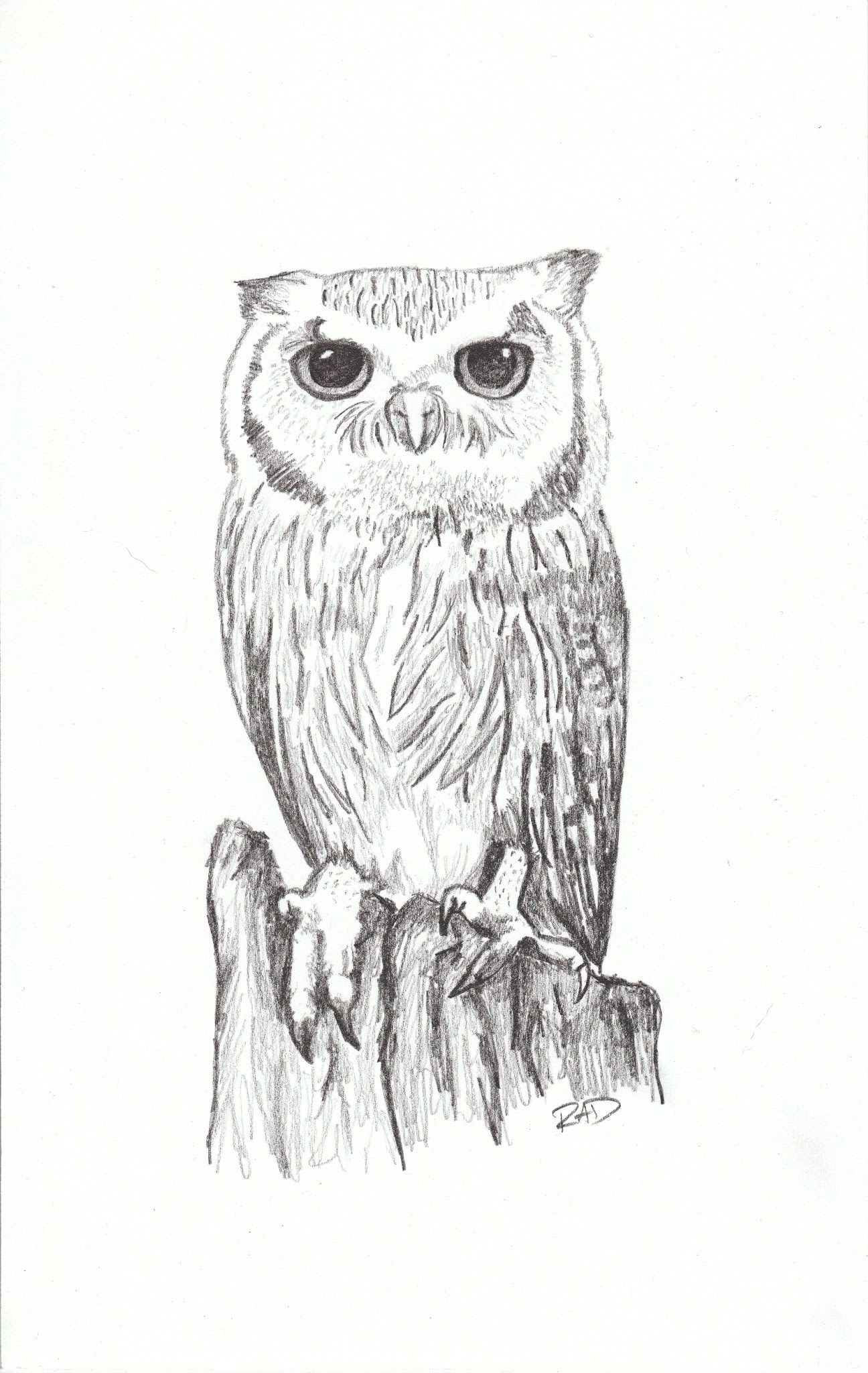 Owl by Rachel Desilets