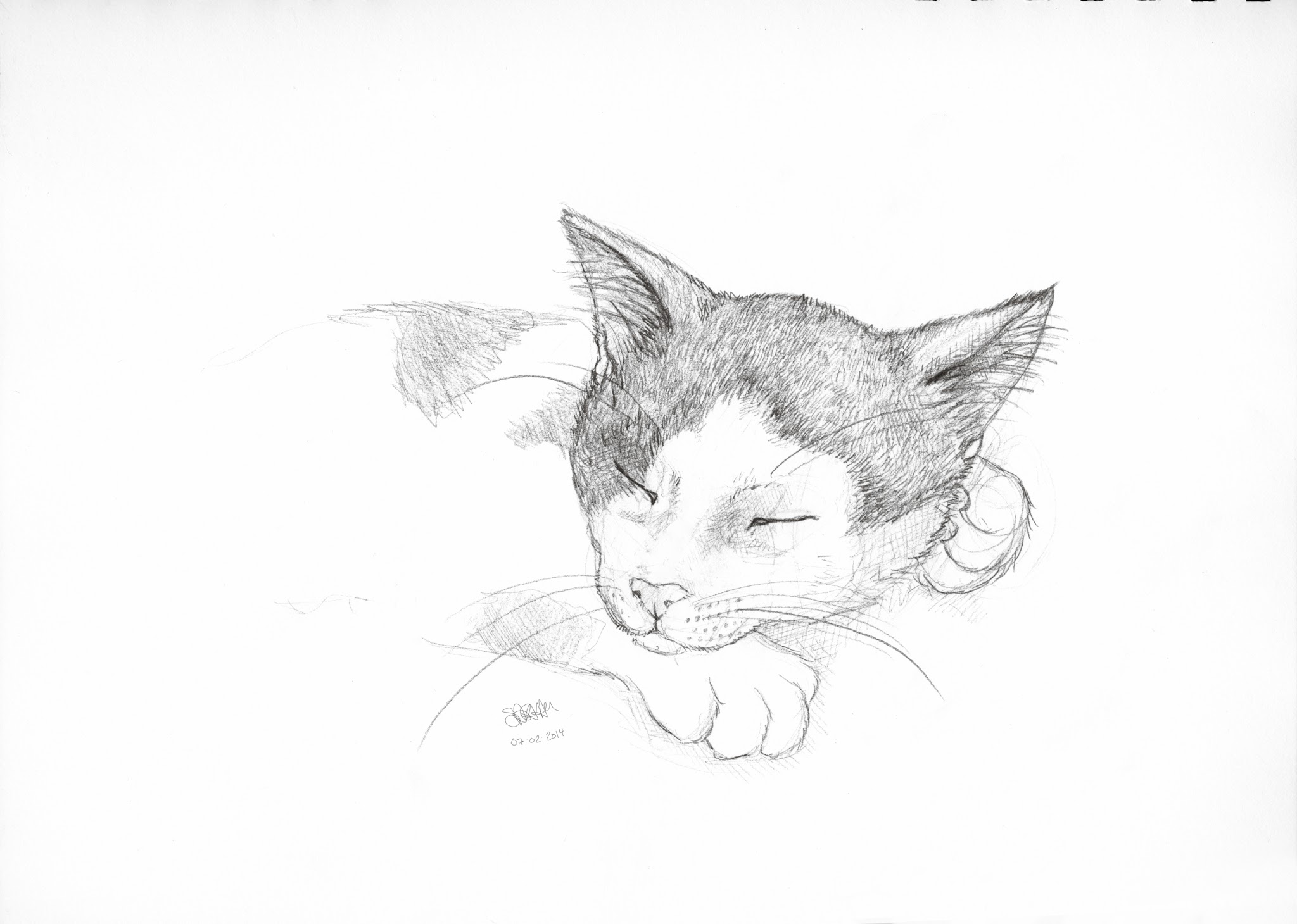 Sleeping Cat by S. Rain Lawrence