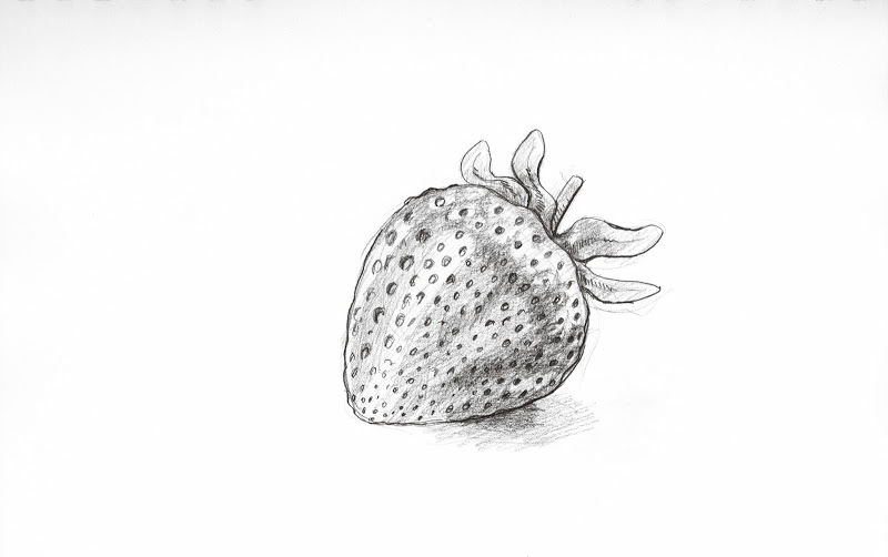 Strawberry by S. Rain Lawrence