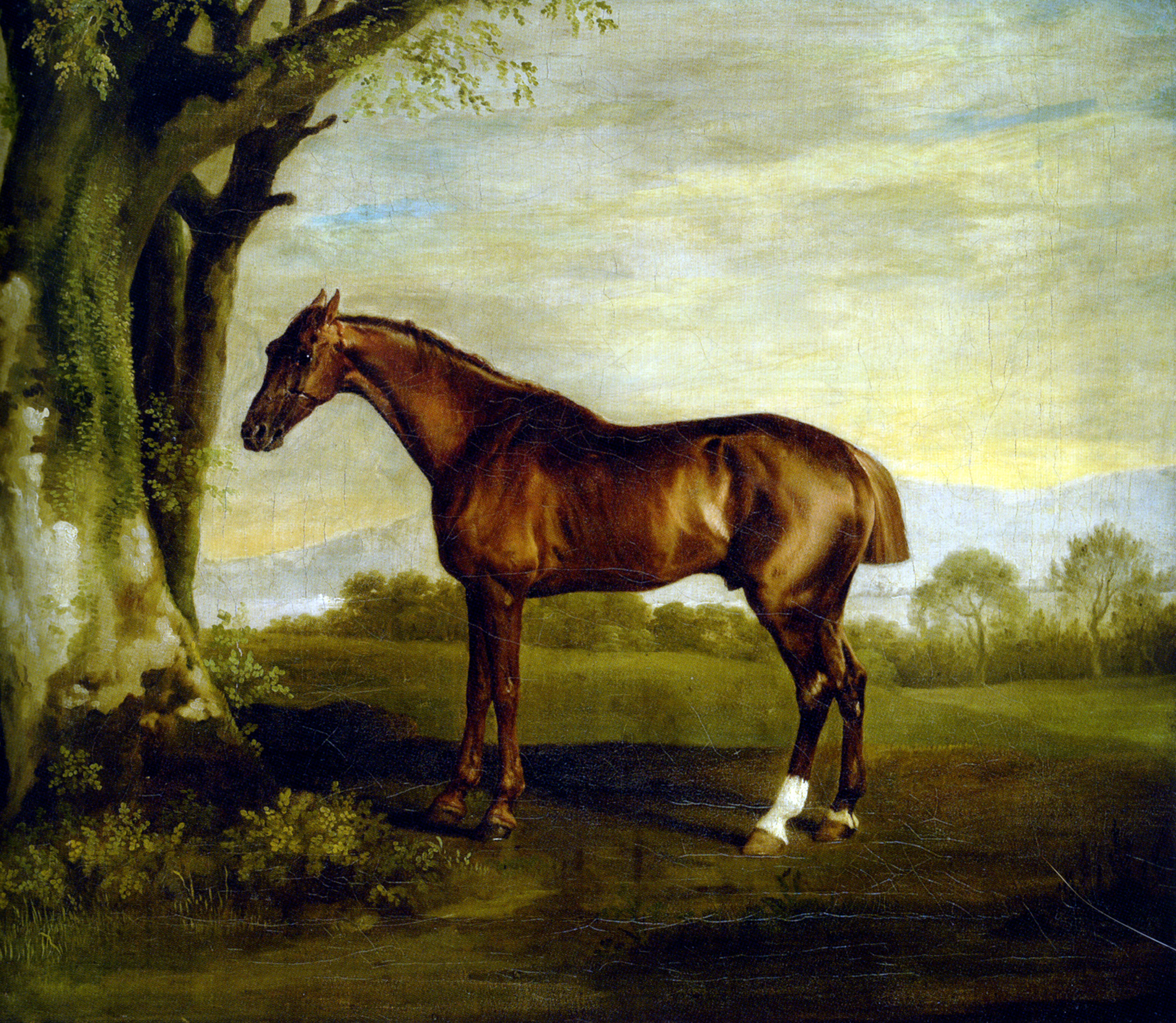A Chestnut Racehorse by George Stubbs