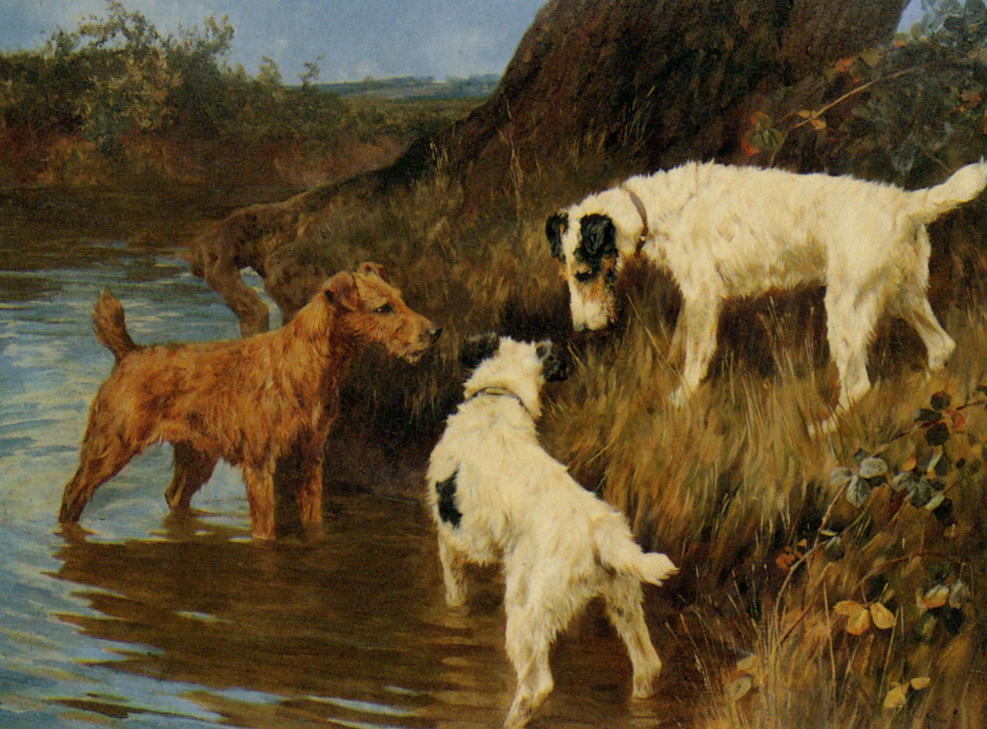 Three Terriers on the Scent by Arthur Wardle