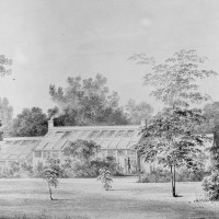 Greenhouse, David Hosack Estate, Hyde Park, New York (from Hoasack Album) by Thomas Kelah Wharton