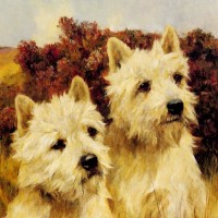Jacque and Jean, Champion Westhighland White Terriers by Arthur Wardle