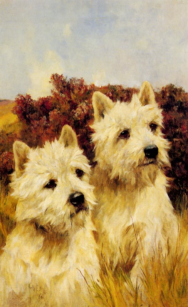 Jacque and Jean Champion Westhighland White Terriers by Arthur Wardle
