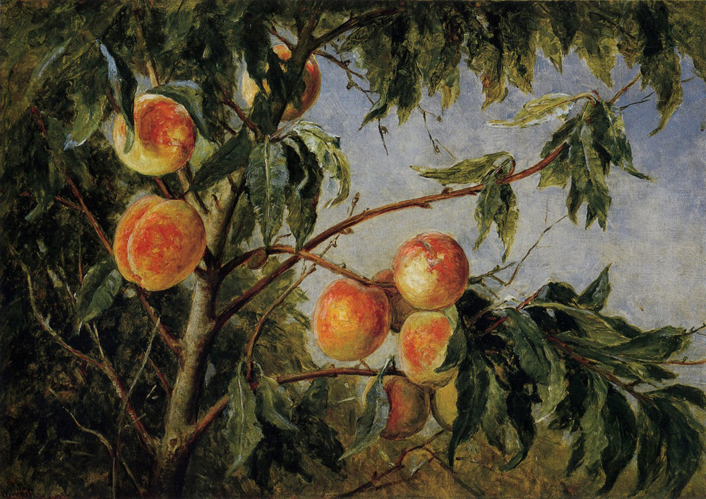 Peaches by Thomas Worthington Whittredge
