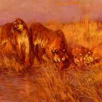 The Tiger Pool by Arthur Wardle
