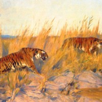 Tigers by Arthur Wardle