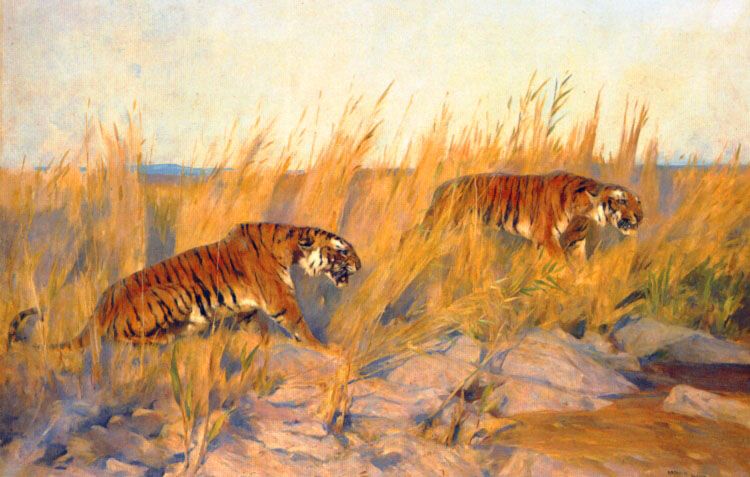 Tigers by Arthur Wardle