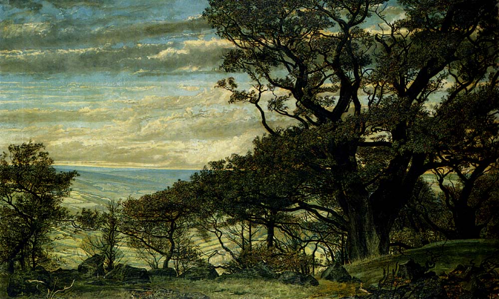 from Wharncliffe Crags Looking Towards The Derbyshire Moors by Archibald James Stuart Wortley