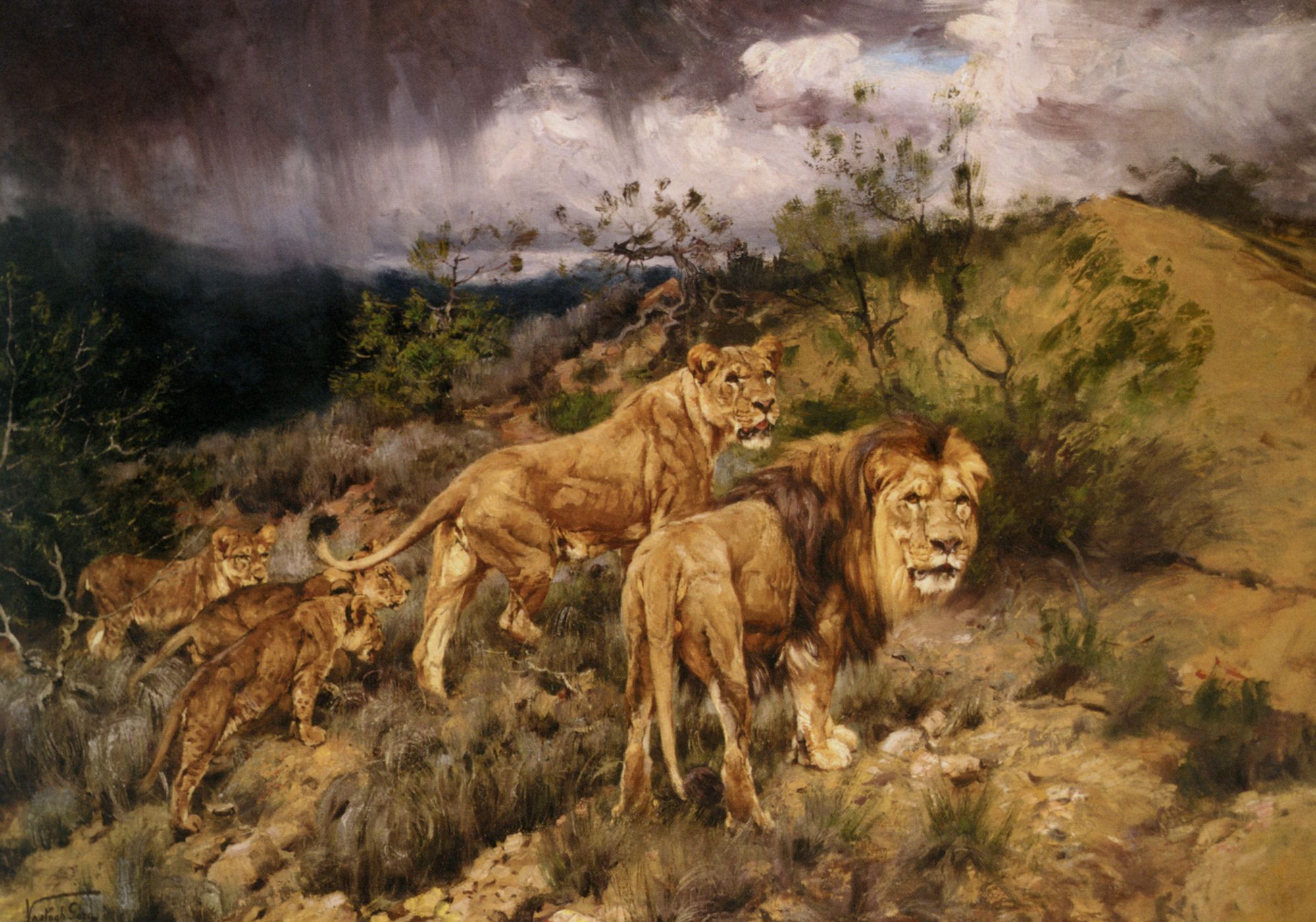 A Family of Lions by Geza Vastagh
