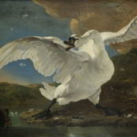 The Threatened Swan by Jan Asselyn