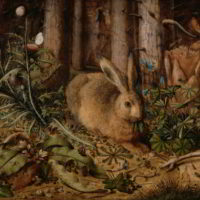A Hare in the Forest by Hans Hoffmann
