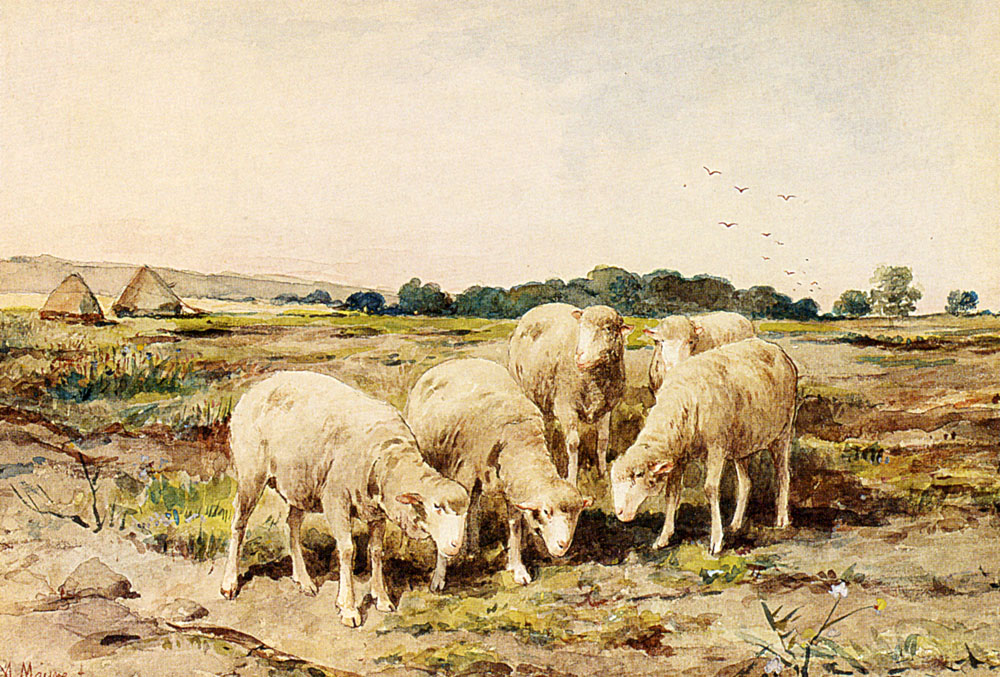 Grazing Sheep by Anton Mauve