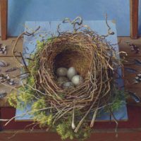 Bird’s Nest by Joke Frima