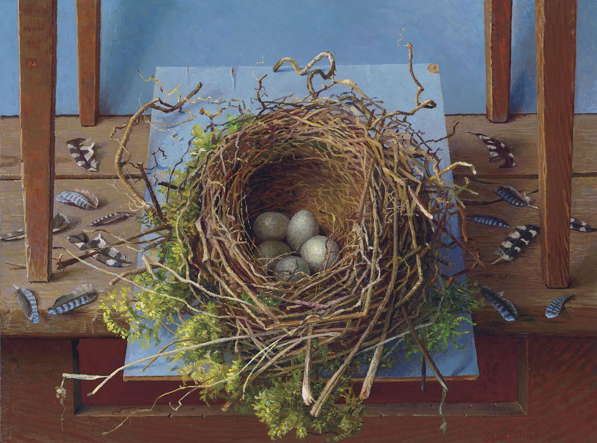 Bird's Nest by Joke Frima