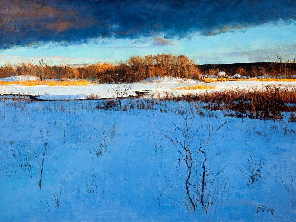 Winter Storm Clearing by Peter Fiore